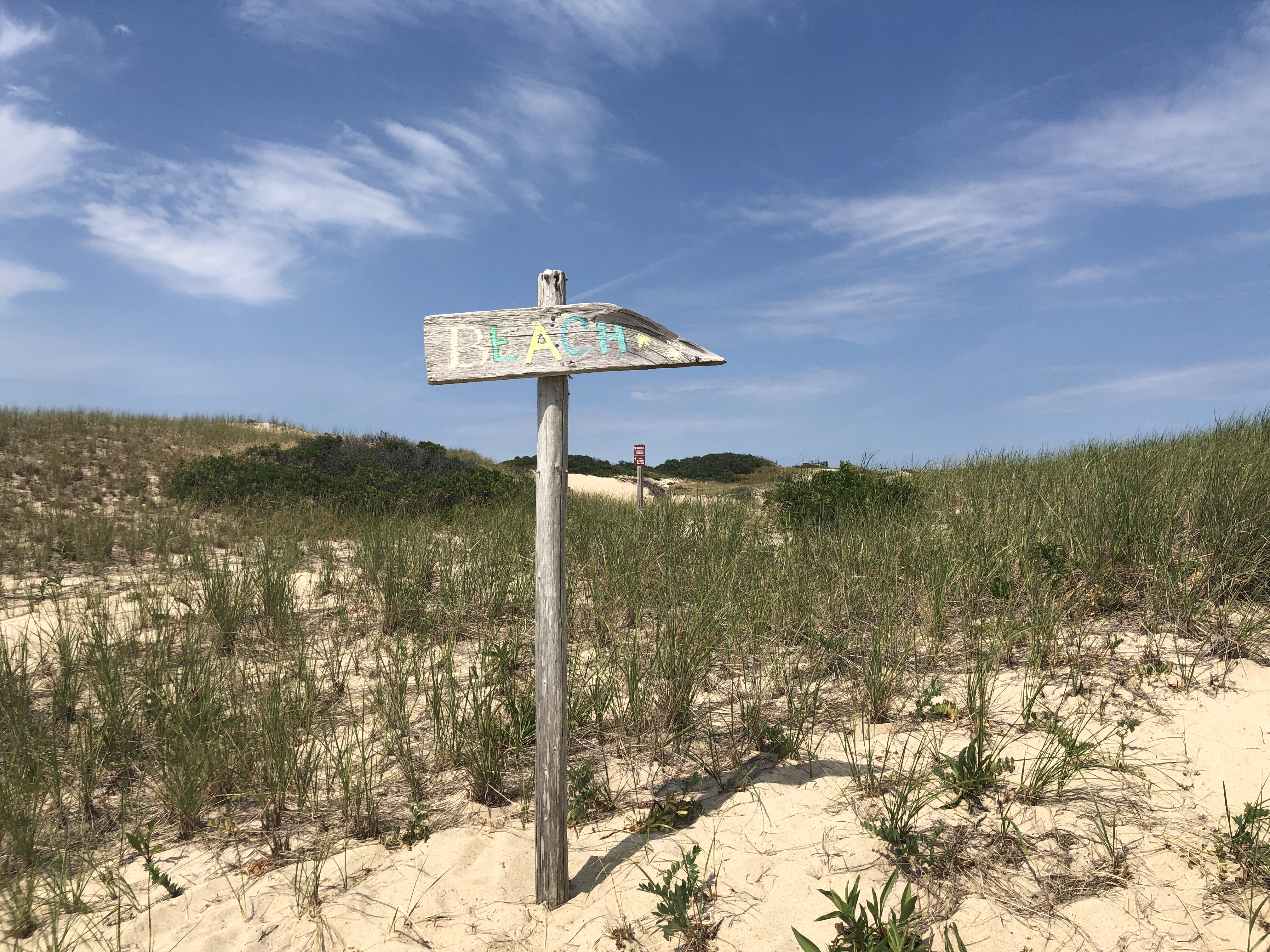 Wooden post and sign that says beach, in the middle of a sand dune covered in grass, blue sky with a few white clouds.
